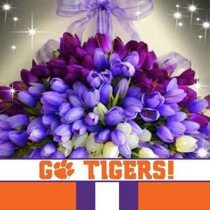 Meet your Posher, Becky